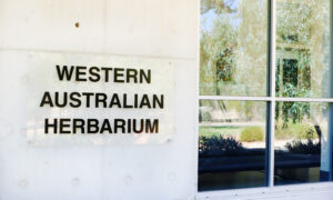 Picture This: A quick tour of the Western Australian Herbarium