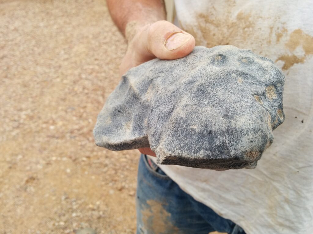 What Happens to Rescued Meteorites?
