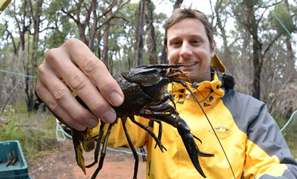 Iconic Margaret River marron in hot water