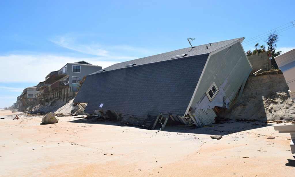 Surviving climate change: who pays the premium?