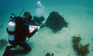 Underwater treasures now accessible for land lovers