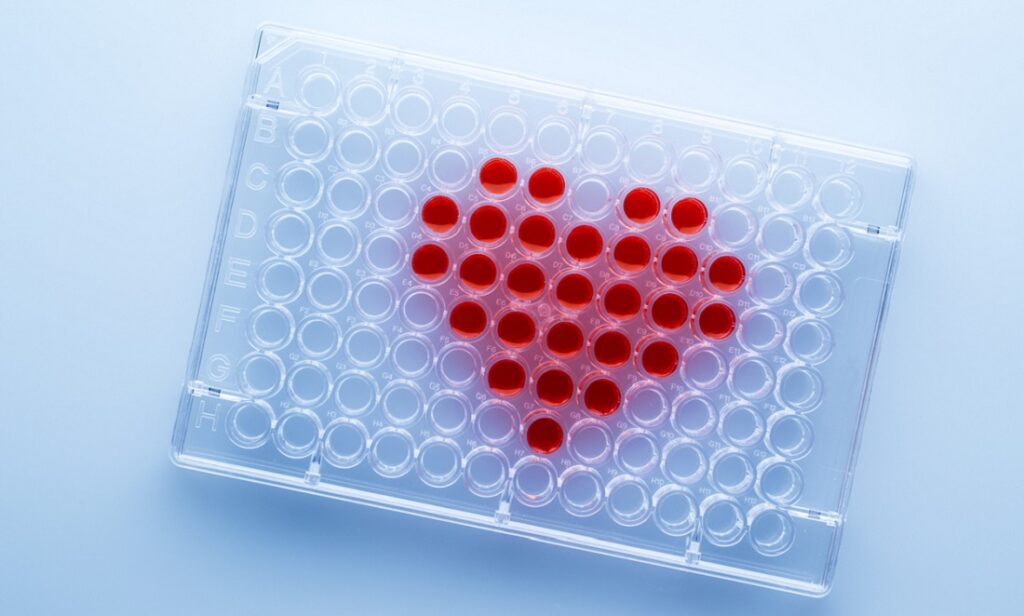 Dating website matches you based on your DNA