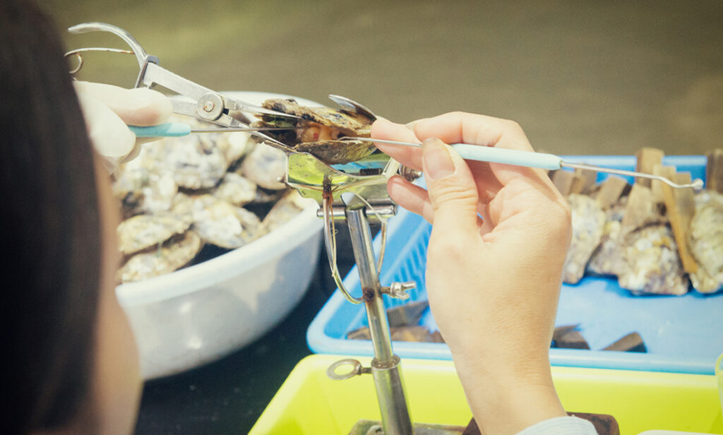 The wisdom of pearl farming