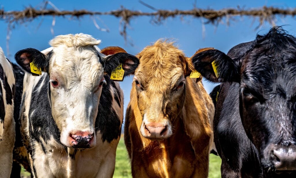 Carbon farming in WA