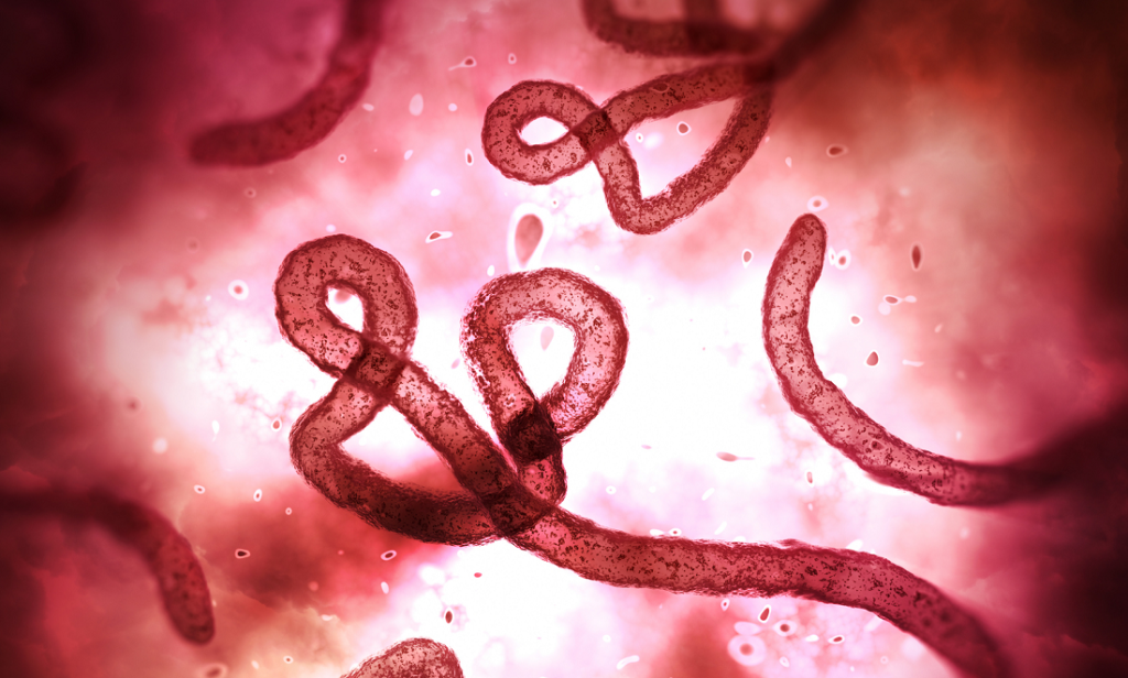 A shortcut to testing for Ebola