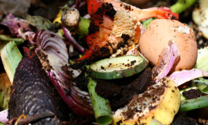 Want to tackle climate change? Tackle your food waste first