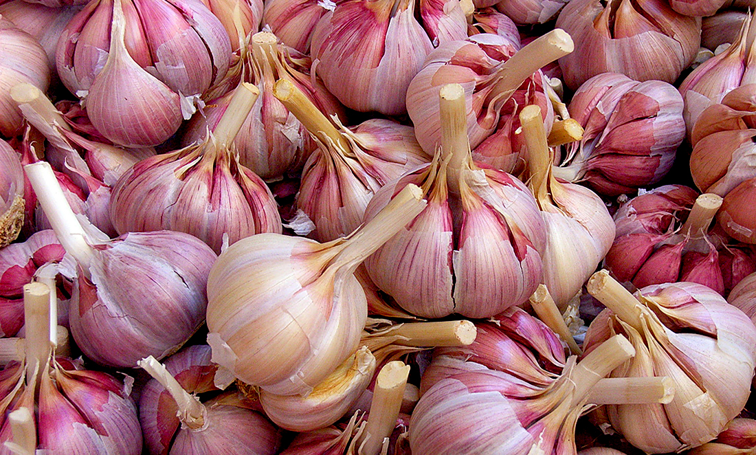 Benefits of garlic extend to Alzheimer’s
