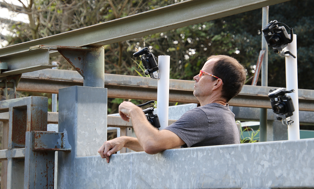 Man surrounded by mounted cameras looking over a high metal enclosure