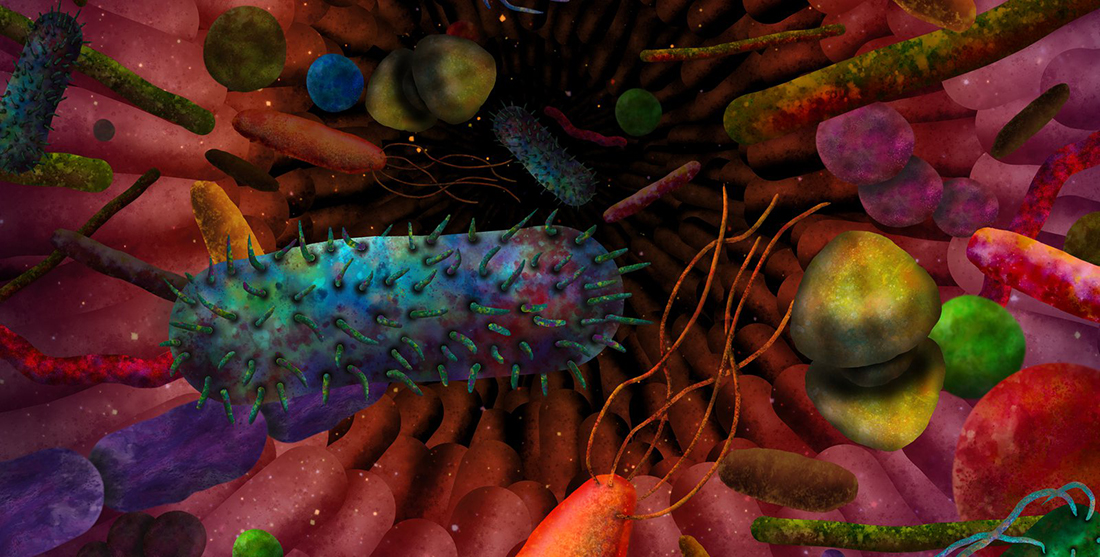 Artistic depiction of gut microbes