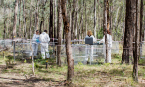 A day at a ‘body farm’