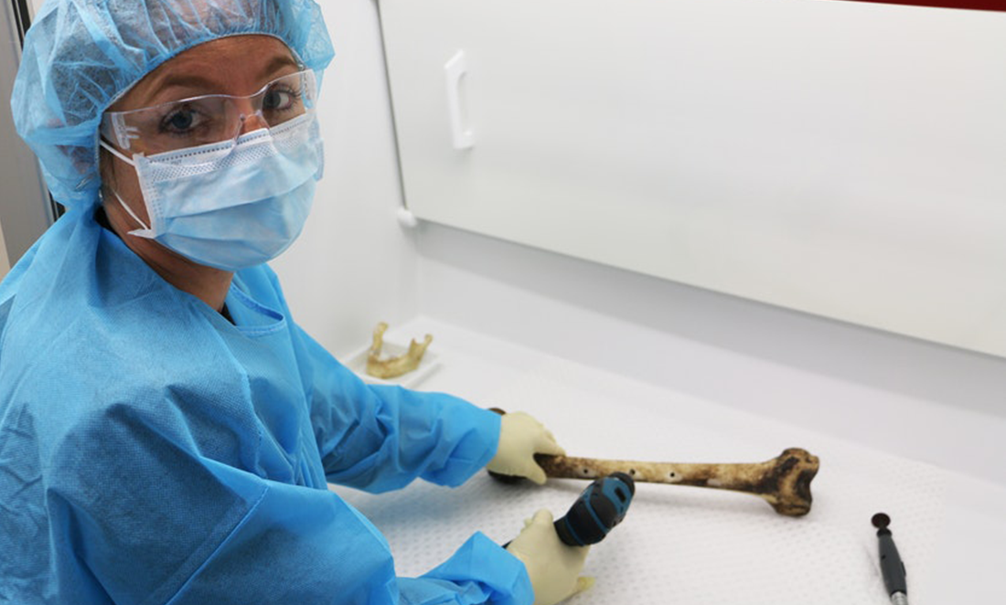Scientist in surgical clothes drills holes in bone