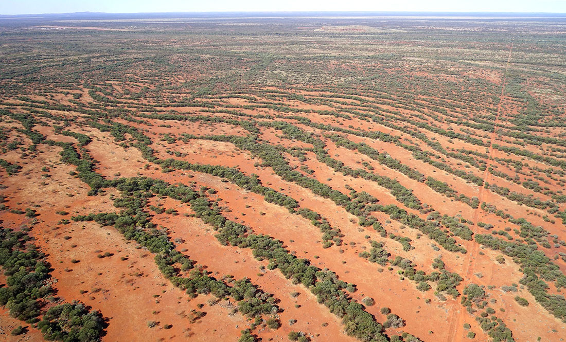 The marvellous mystery of the fairy circles