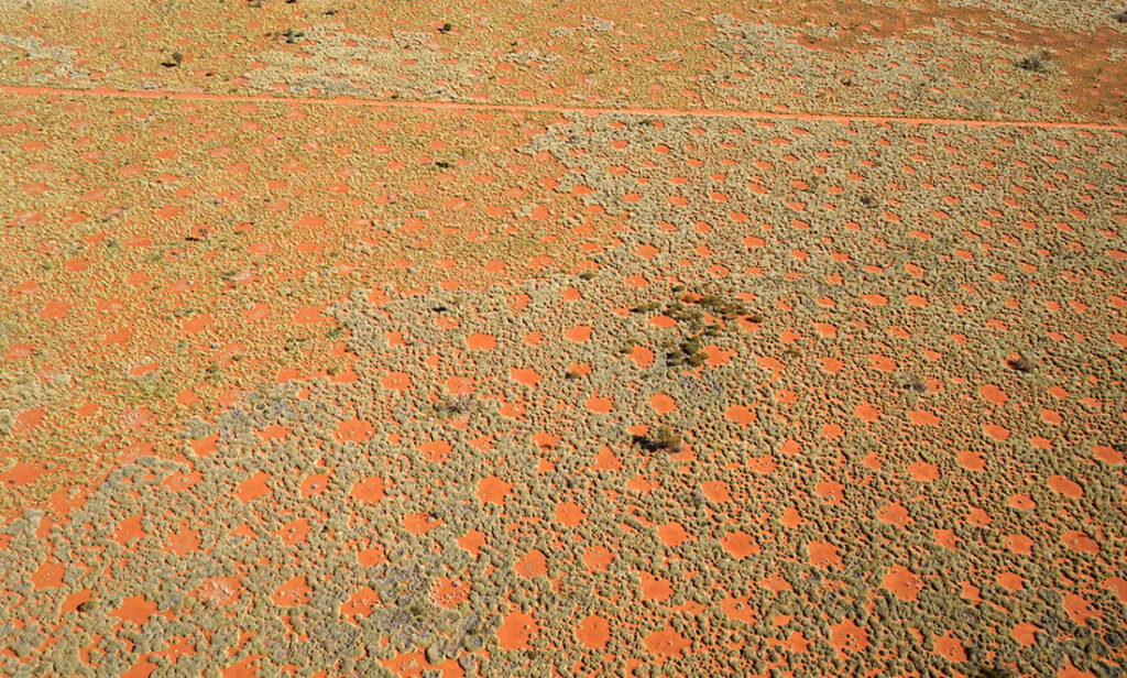 The marvellous mystery of the fairy circles