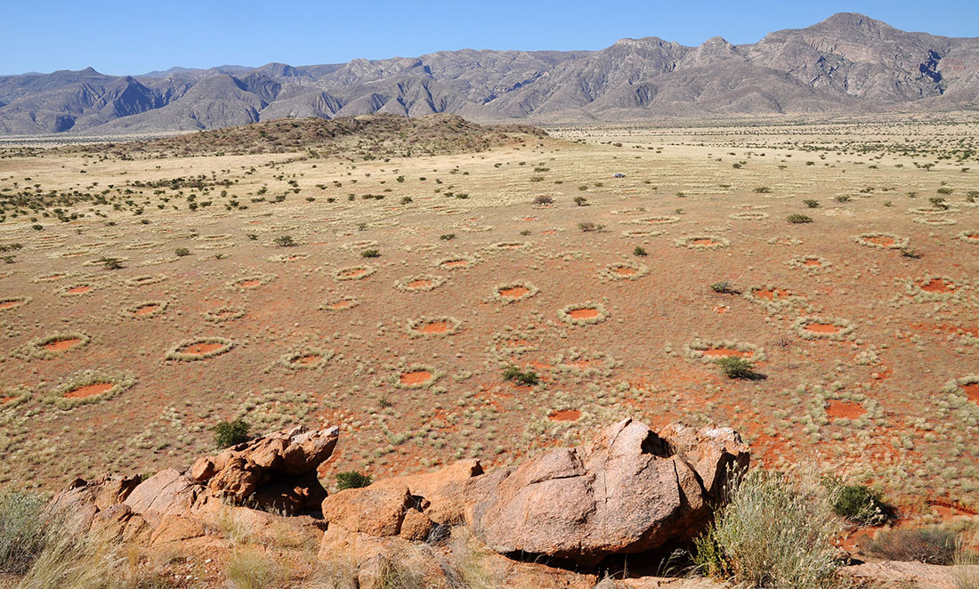 Fairy circles in Namibia look like orange circles on brown earth. There are hills in the background.