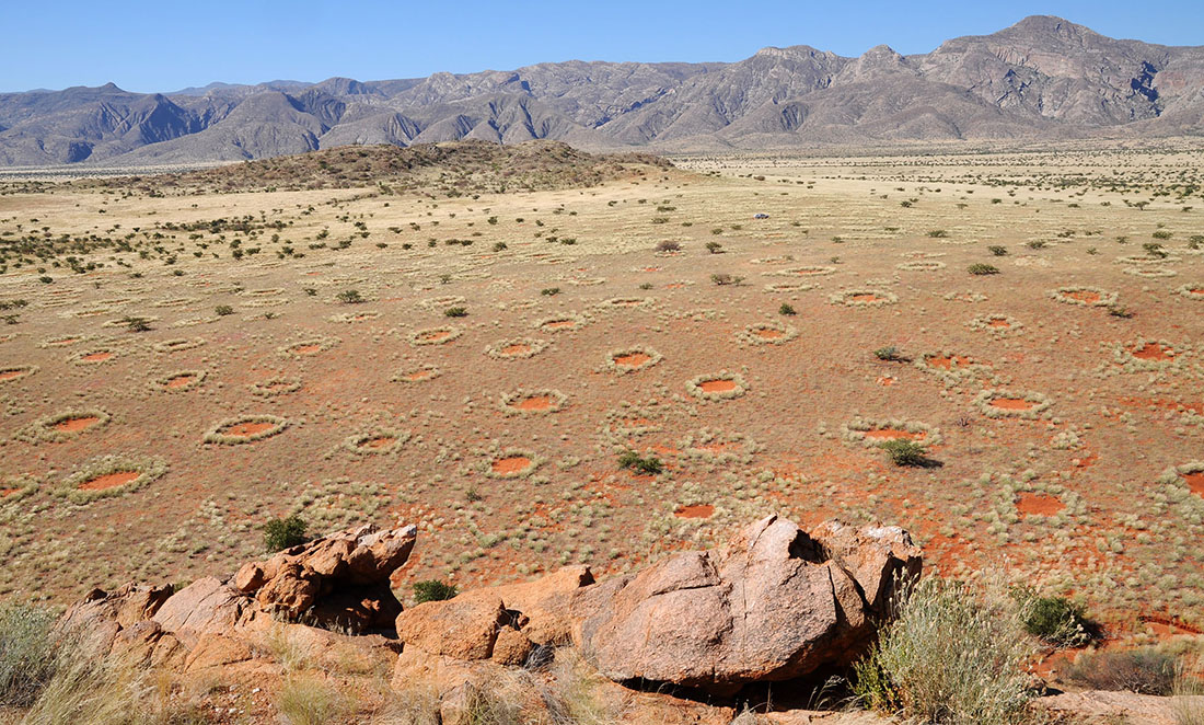 https://particle.scitech.org.au/wp-content/uploads/2019/12/Namibian_Fairy_Circles.jpg