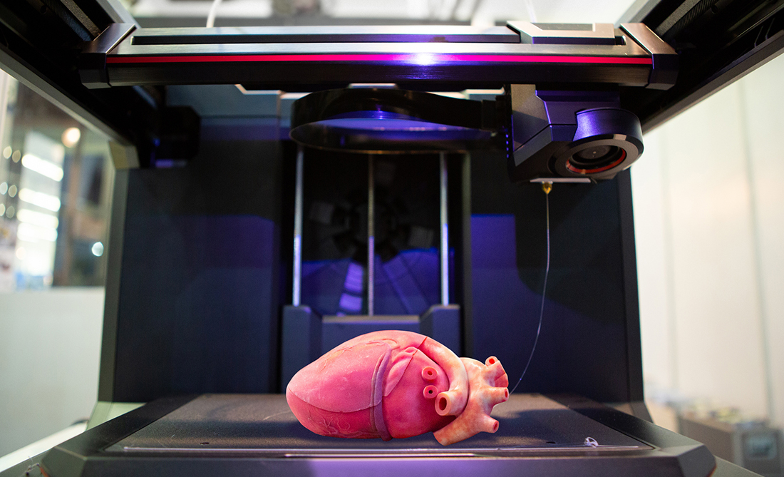 3d printer with a printed human heart