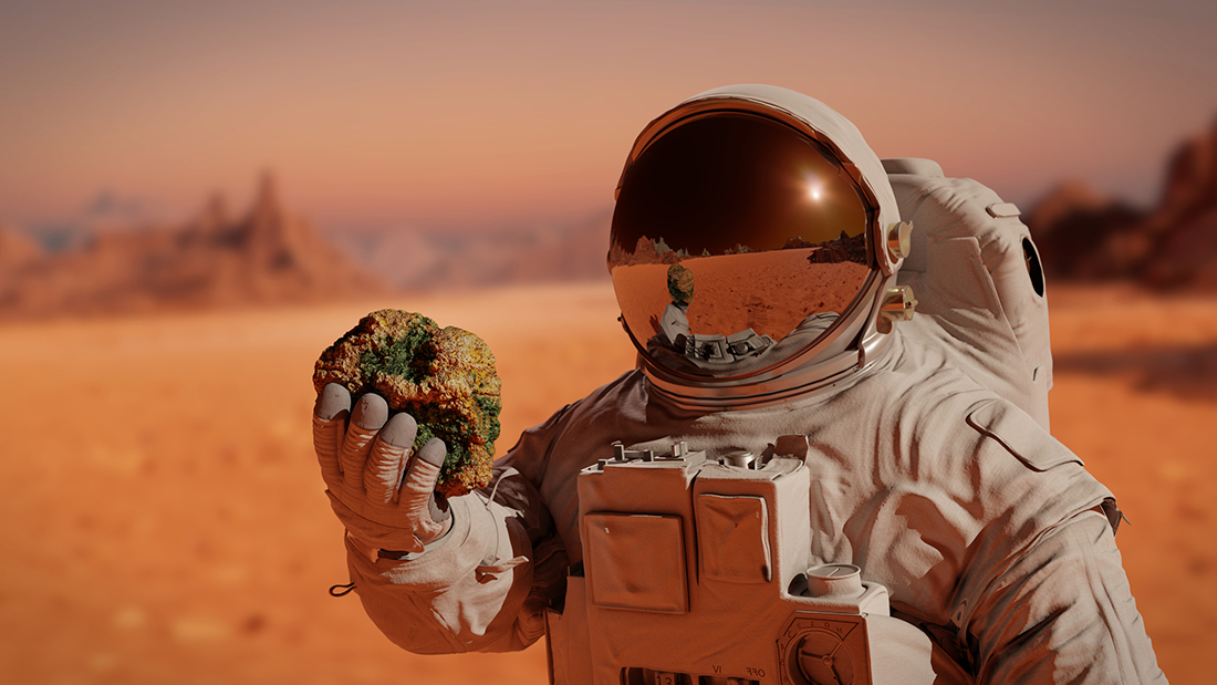 Person in astronaut suit shown on Mars, holding up a large rock-like substance