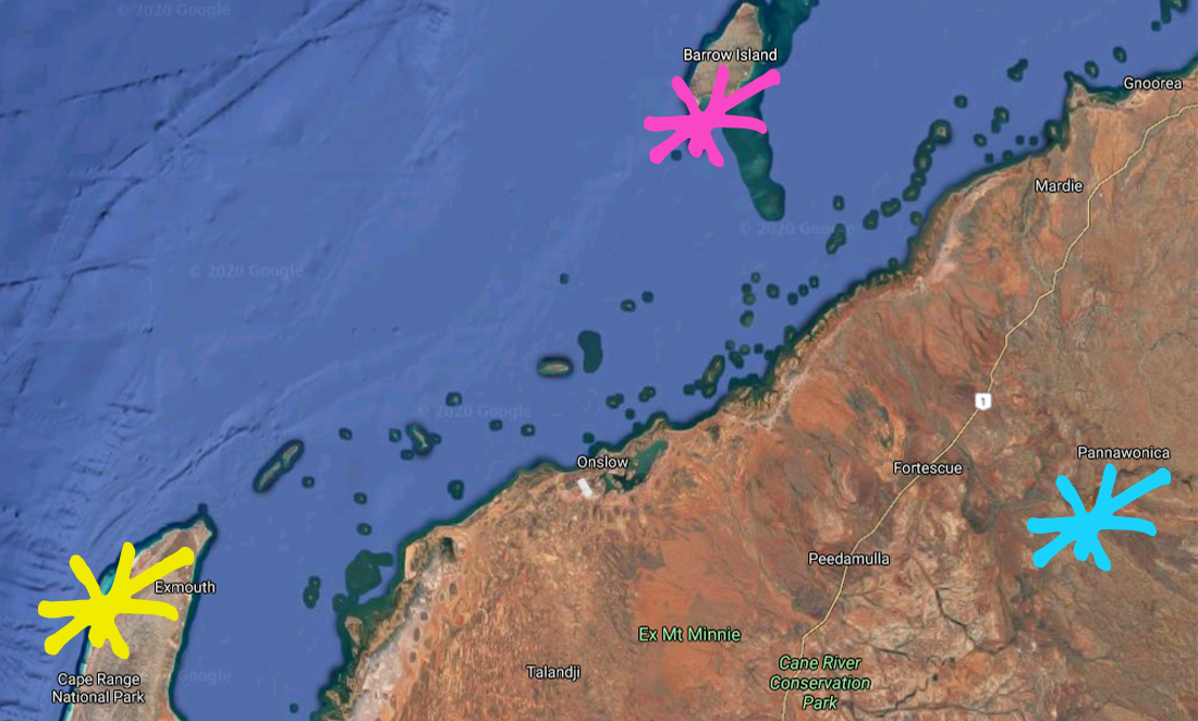 Cape range, Barrow Island and Pannawonica marked on a map of North-West Australia