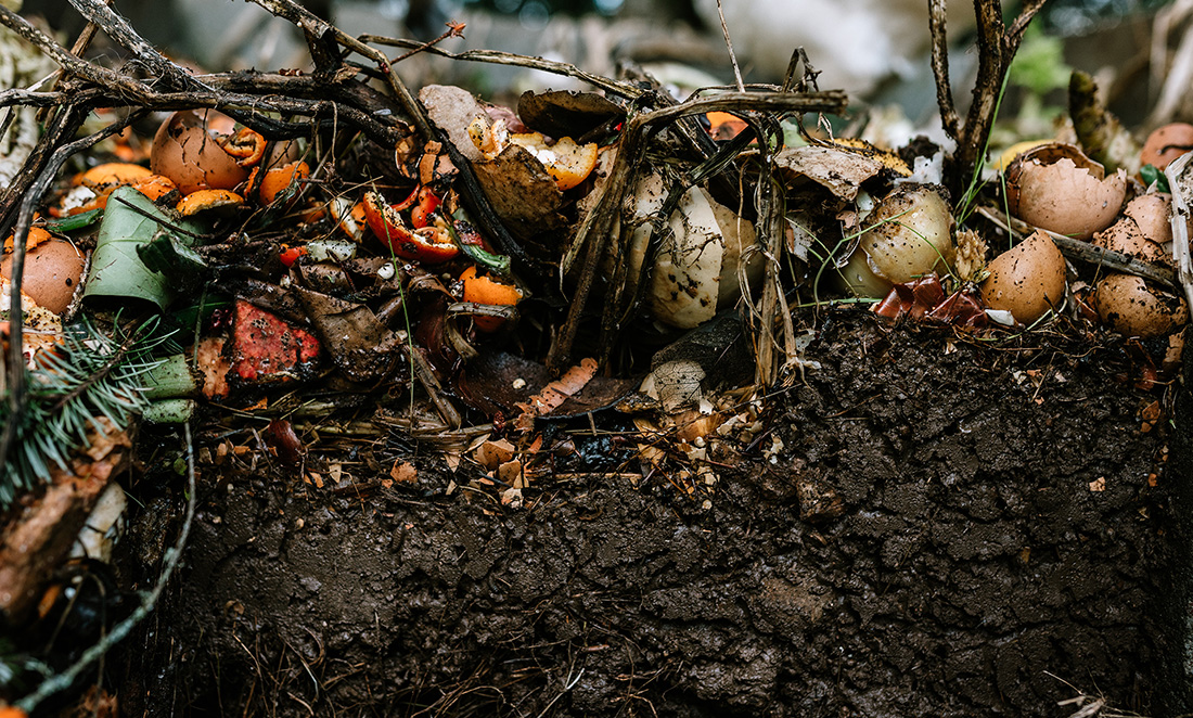 Assorted vegetable, fruit, yard clippings, and other things turning into compost