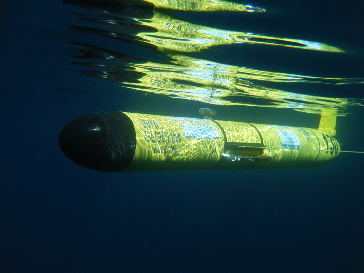 Ocean gliders are the saw-tooth robotic bats of the deep