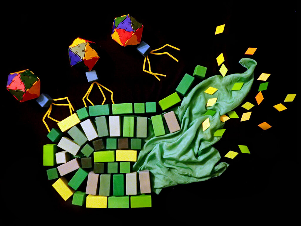 Turning the phage on infectious diseases