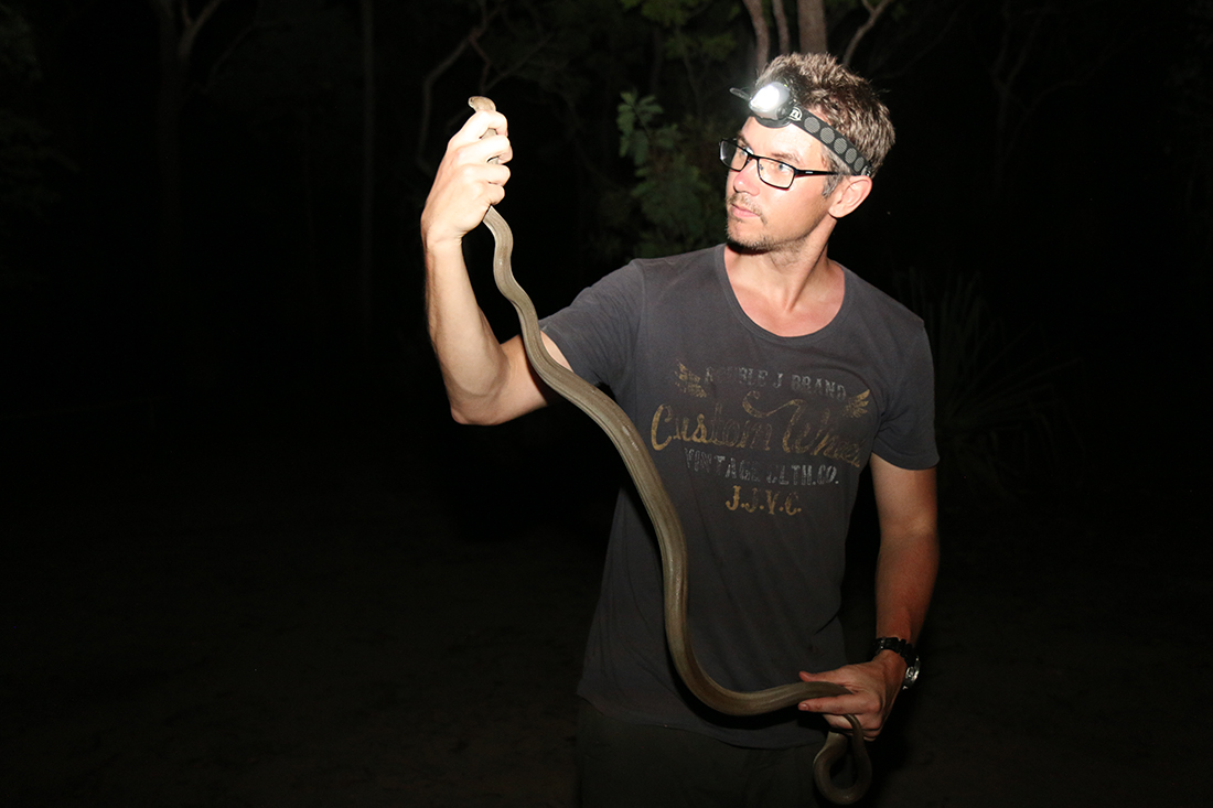Professor Morten Allentoft holds up an olive python in Kakadu National Park