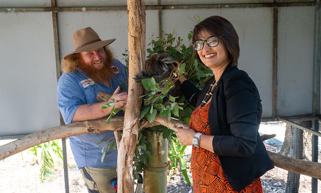 Parwinder (Right) and Red (Left) stand with a koala on a eucalyptus branch in a zoo enclosure.