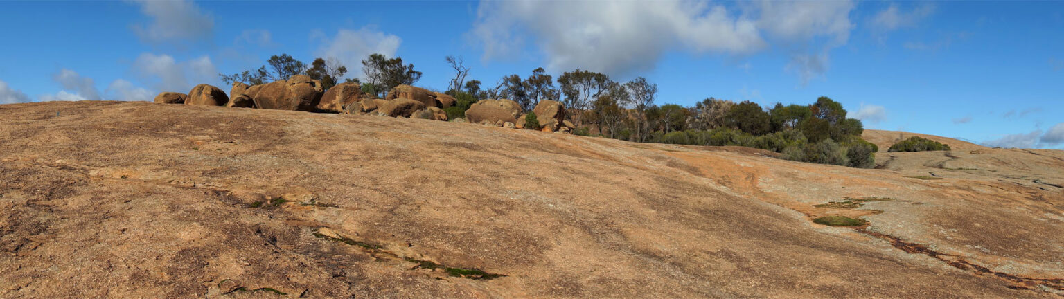 Why is Wave Rock shaped like a wave? - Environment news | Particle