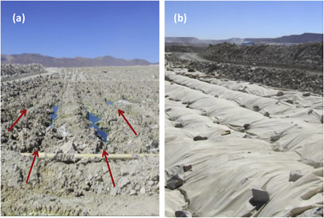 Two photo side-by-side show the largest bioreactor in the world, in Chile; the land is cleared, showing very ight-grey sand against a blue sky. Red arrows point to areas where bacteria is eating rock