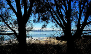 Protecting Perth’s sunken forests