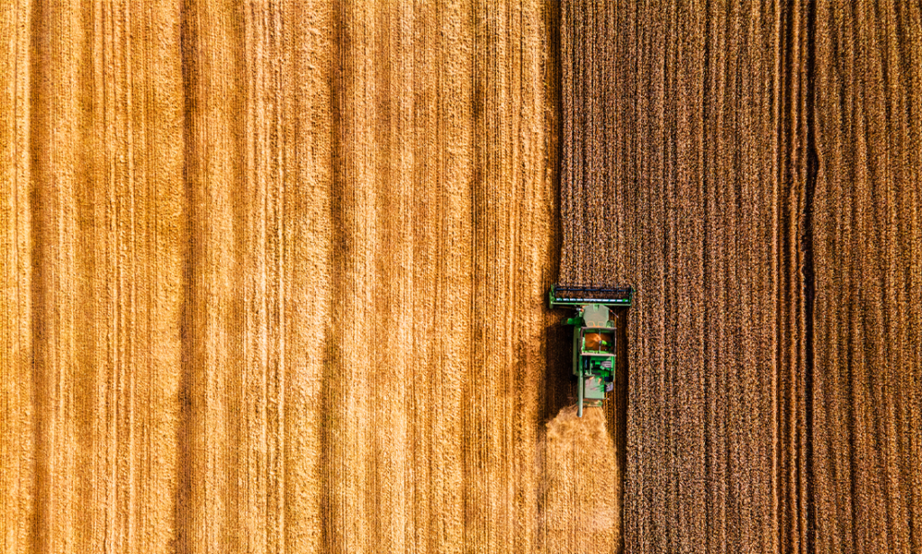 A brighter future: how whitening the Wheatbelt could cool the climate