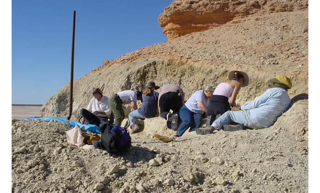 Paleontologists making a quarry at Lake Palenkarina