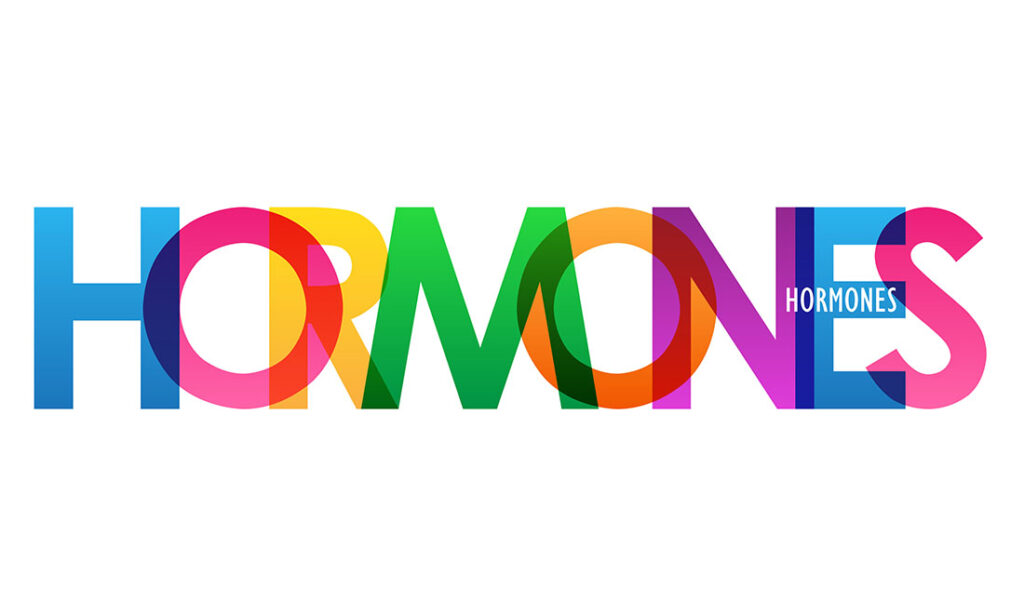 Particle 101: Hormones