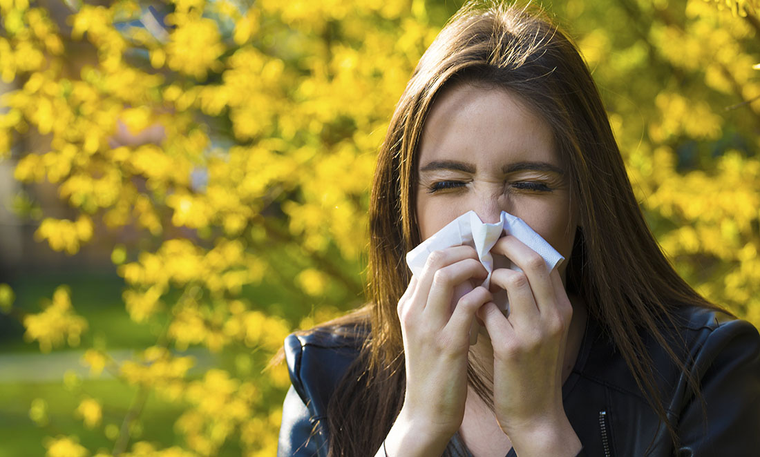 Particle 101: Hay fever