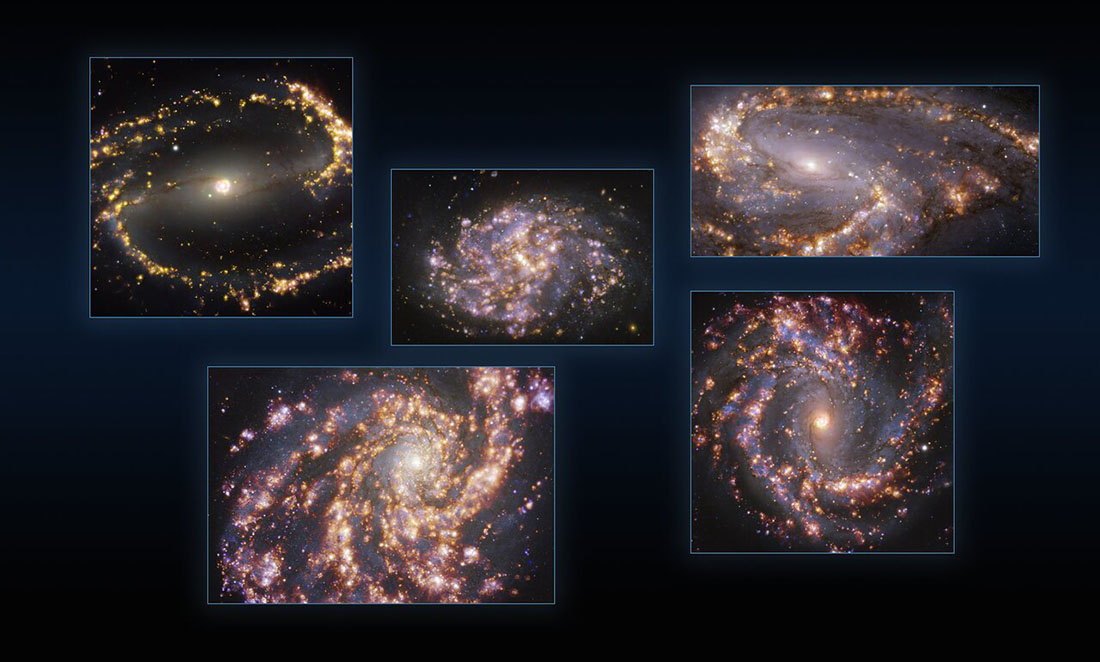 This image combines observations of the nearby galaxies NGC 1300, NGC 1087, NGC 3627 (top, from left to right), NGC 4254 and NGC 4303 (bottom, from left to right) taken with the Multi-Unit Spectroscopic Explorer (MUSE) on ESO’s Very Large Telescope (VLT). Each individual image is a combination of observations conducted at different wavelengths of light to map stellar populations and warm gas. The golden glows mainly correspond to clouds of ionised hydrogen, oxygen and sulphur gas, marking the presence of newly born stars, while the bluish regions in the background reveal the distribution of slightly older stars.   The images were taken as part of the Physics at High Angular resolution in Nearby GalaxieS (PHANGS) project, which is making high-resolution observations of nearby galaxies with telescopes operating across the electromagnetic spectrum.