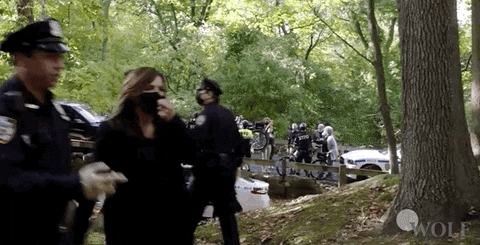 A gif from the TV show Law & Order: SVU showing Captain Benson arriving at a crime scene in the woods, holding up her badge to the police officers and announcing her name