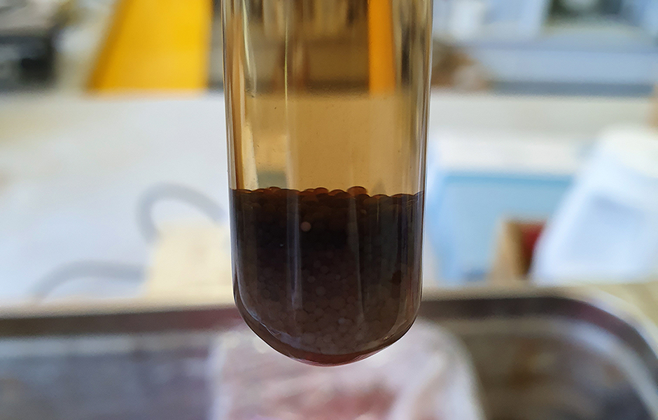 Resin absorbing lactic acid from broth