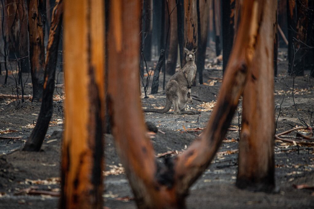 The current state of WA in the face of climate change