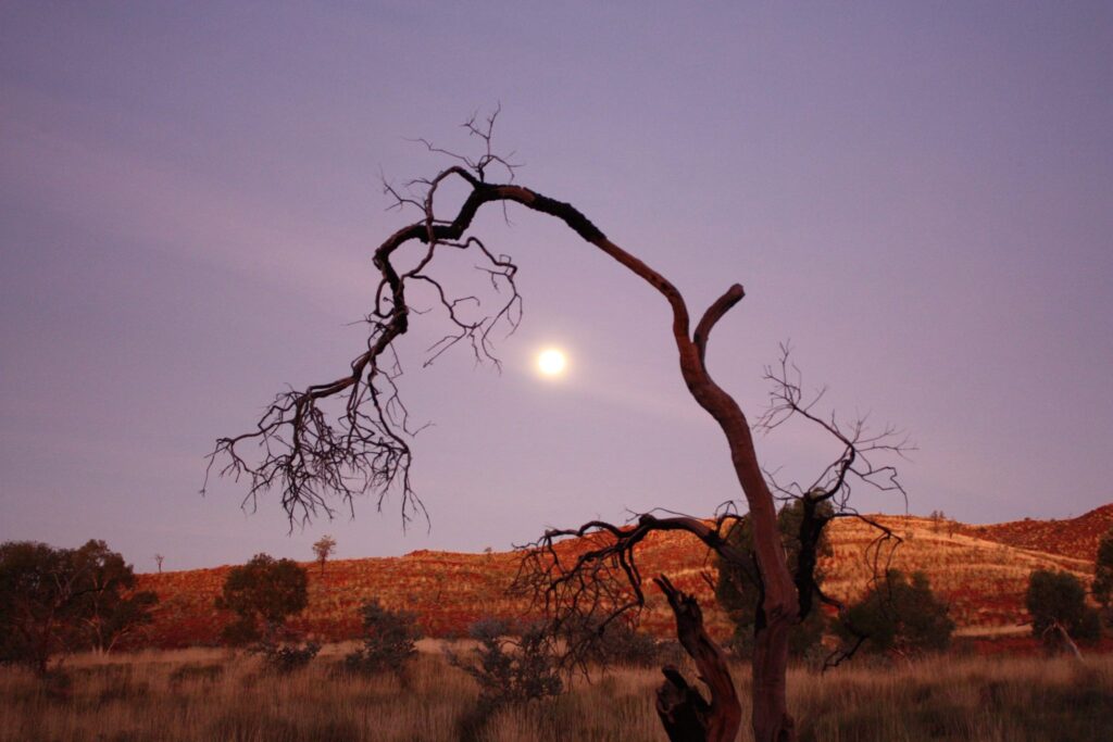 Ancient Pilbara rocks provide a glimpse into cradle of life on Earth