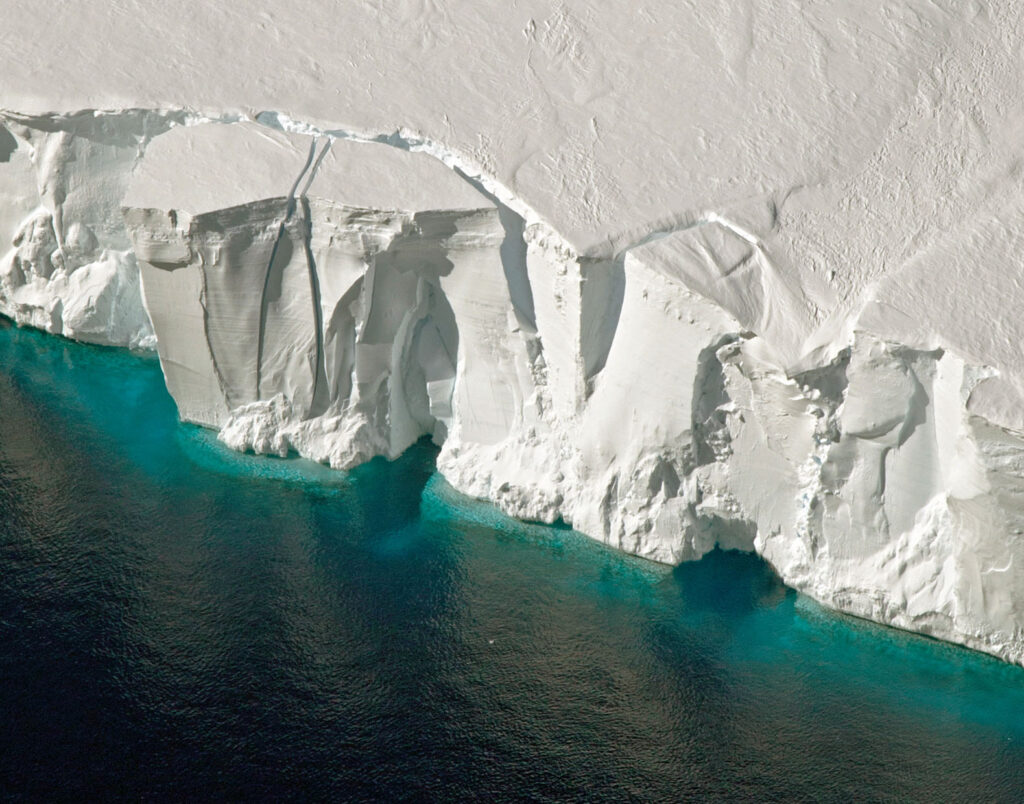 Understanding ancient Antarctica via octopus genes