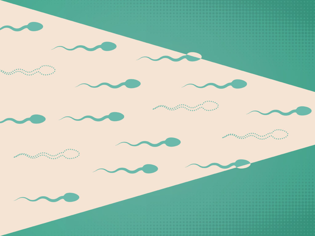 Particle 101: Male birth control