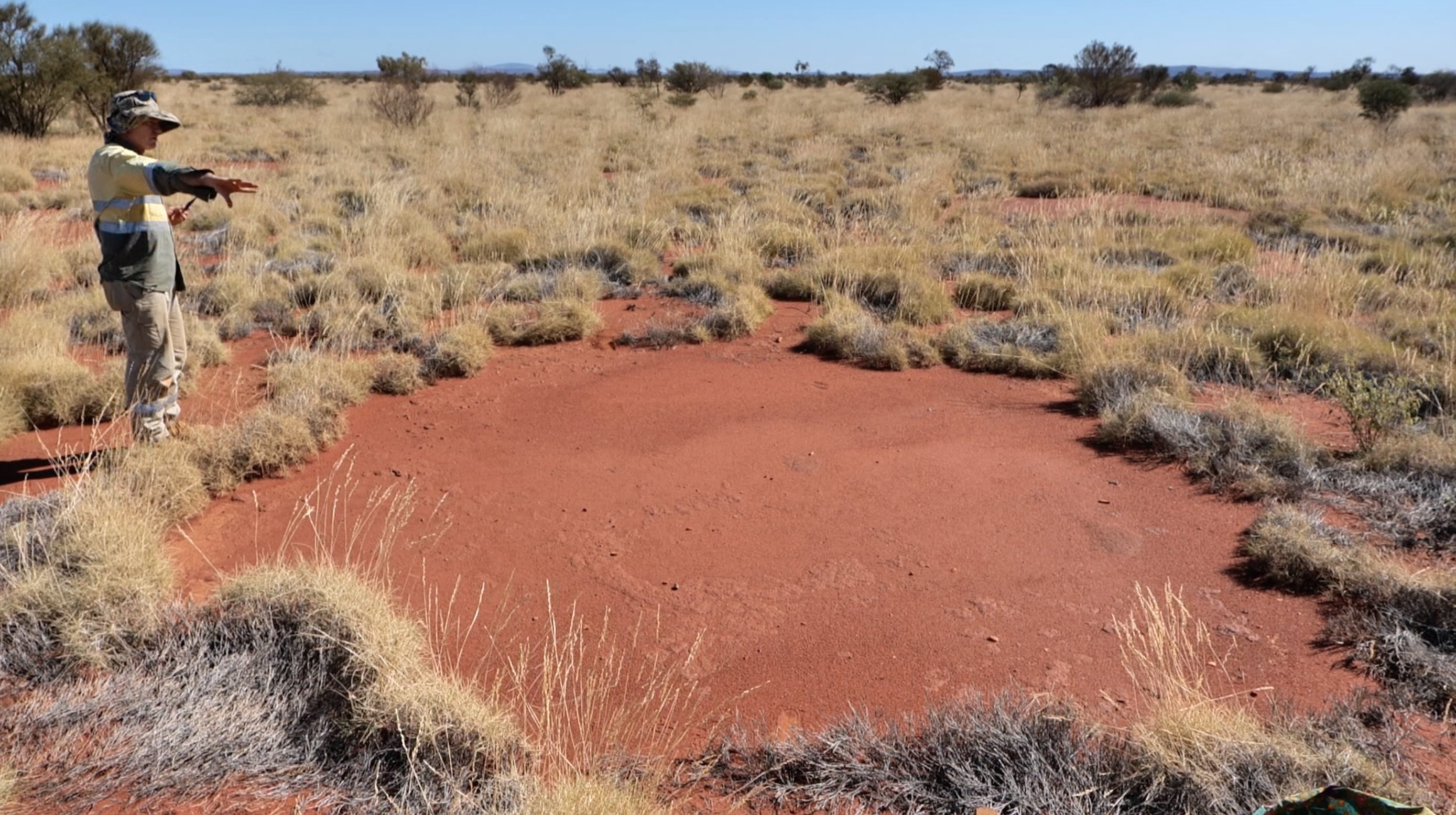 Aboriginal art and knowledge unlocks mystery of fairy circles