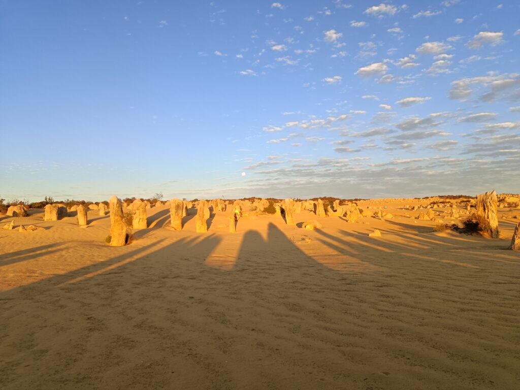 The Pinnacles: Deep Time, not Termite Mounds