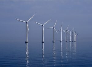 Are we drowning out the sounds of the sea?