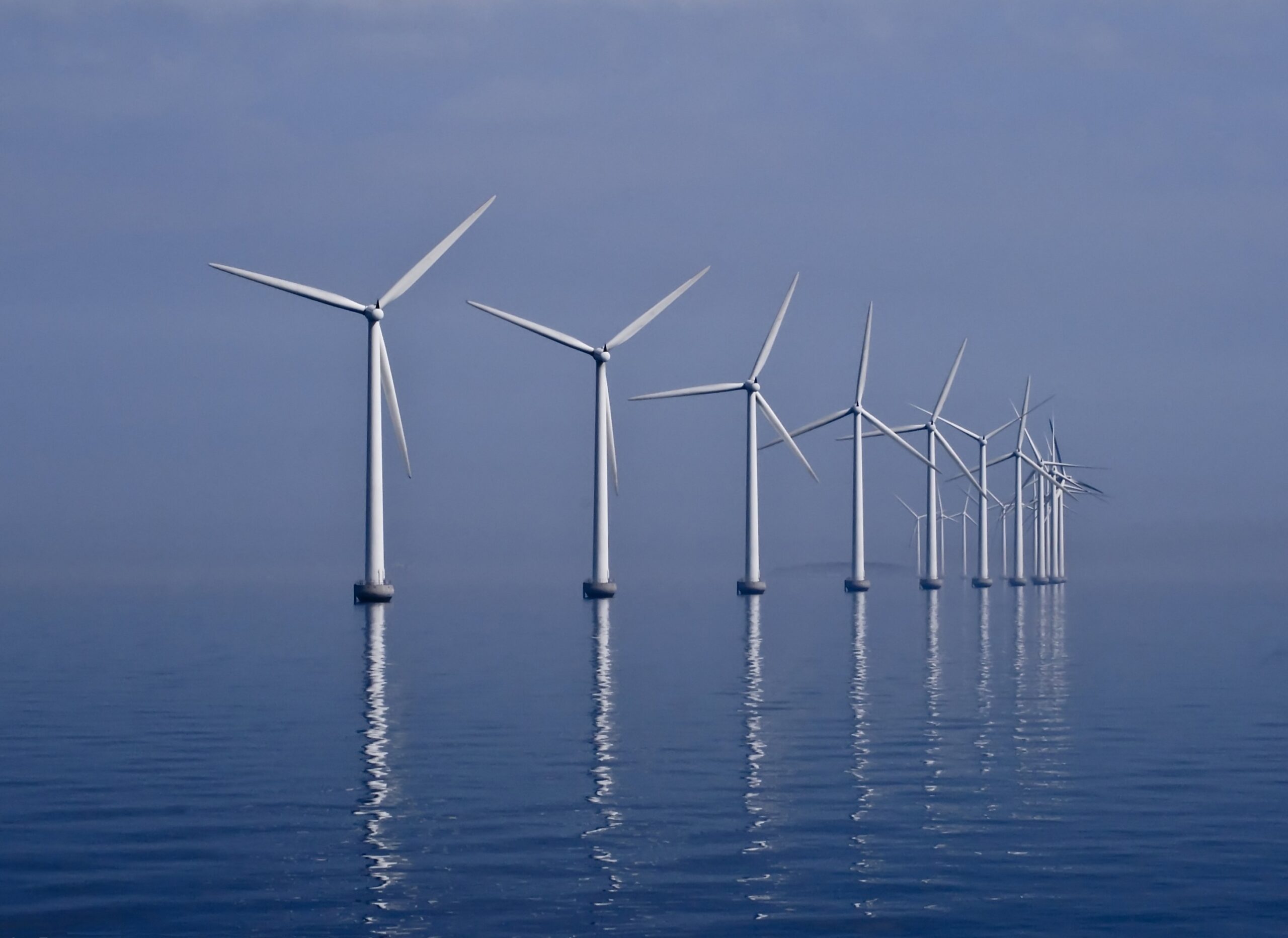 Are we drowning out the sounds of the sea?