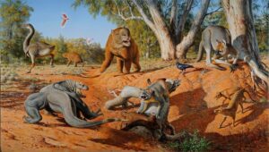 THE MEGAFAUNA MYSTERY