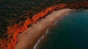 PARTNERSHIP KEY TO RESTORING SHARK BAY SEAGRASS