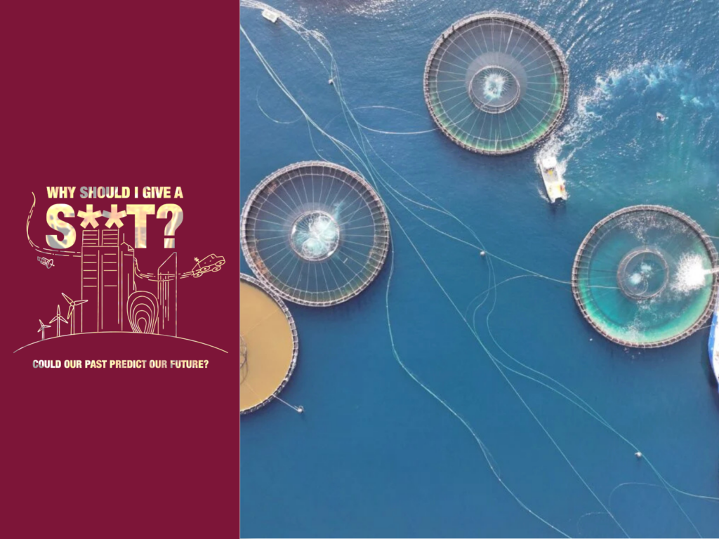 Salmon farming: The good, the bad and the ugly