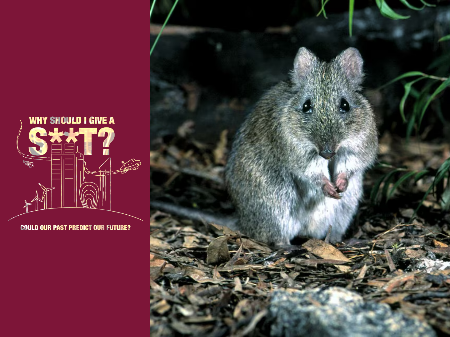 Digging deeper: WA’s Extinction Crisis