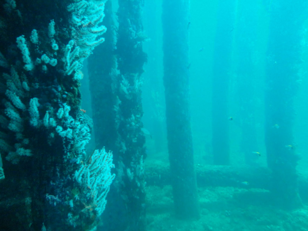 The Man-made Marvels off WA’s Coast